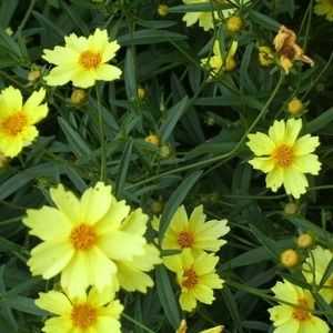 Meet your Posher, Summer